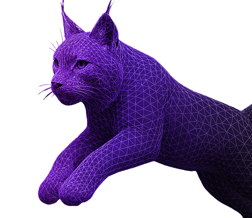 Trialynx lynx graphic - representing agility and precision in clinical trials